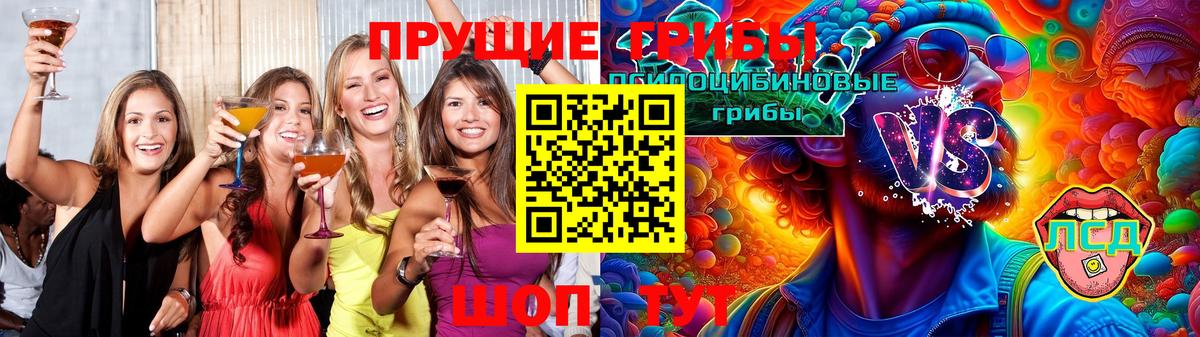 Галлюциногенные грибы GOLDEN TEACHER  Вход с VPN  Галлюциногенные грибы прущие грибы  где купить   Дубна 